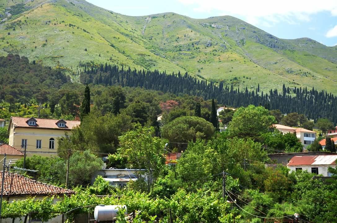 Hotel Shkodra Lake Široka Exterior foto
